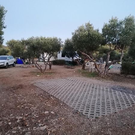 Camp Kopito Hotel Đảo Hvar Ngoại thất bức ảnh