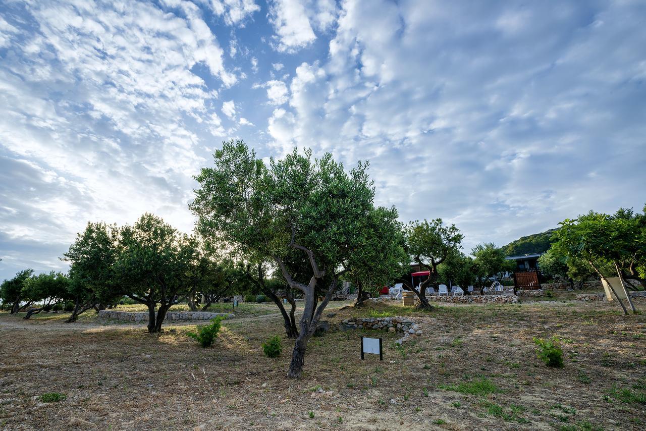 Camp Kopito Hotel Đảo Hvar Ngoại thất bức ảnh