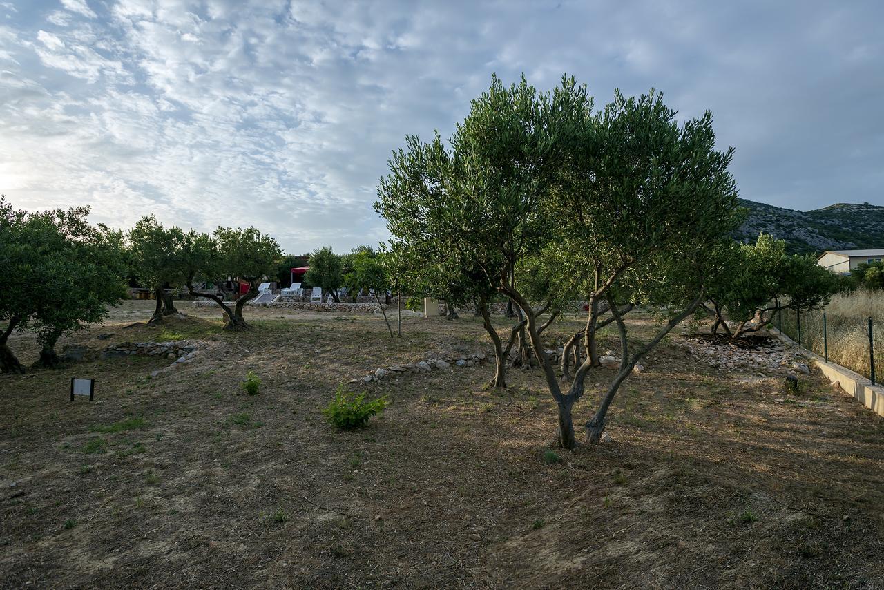 Camp Kopito Hotel Đảo Hvar Ngoại thất bức ảnh